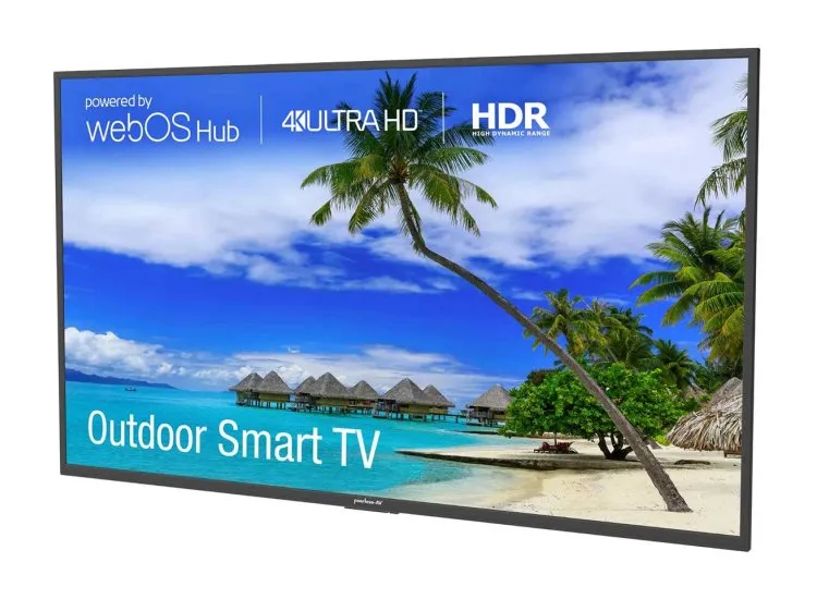 Peerless-AV NT654 Full Sun Outdoor Smart TV - 65"