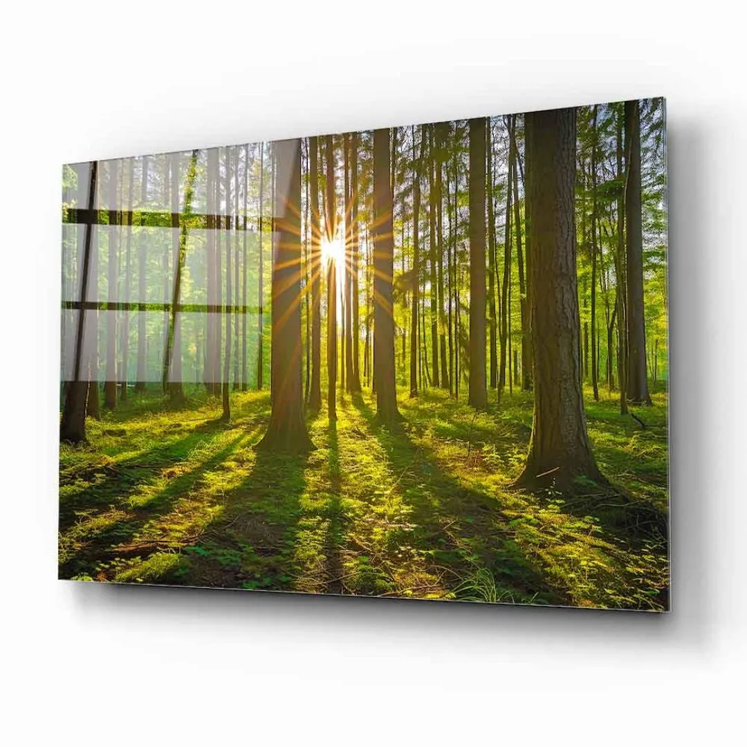 Sunlit Forest Glass Wall Art