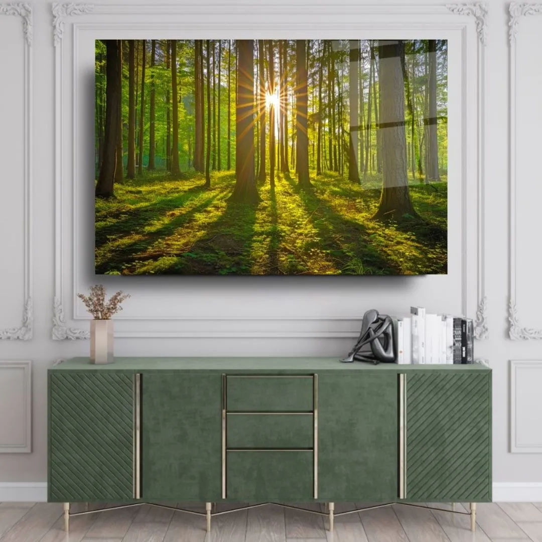 Sunlit Forest Glass Wall Art